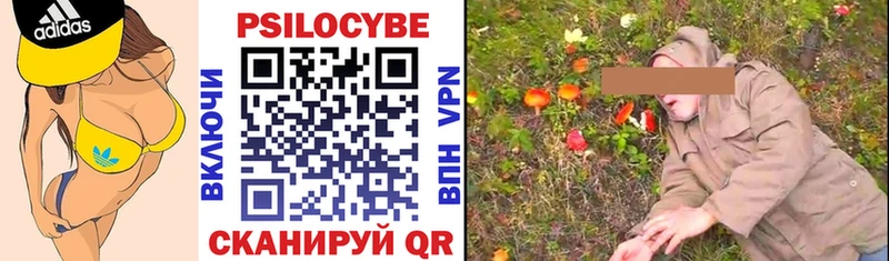 Псилоцибиновые грибы мицелий  купить  цена  Кашин 