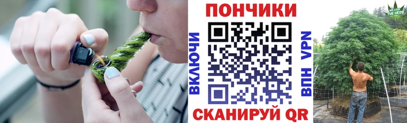 Бошки марихуана MAZAR  купить закладку  Кашин 